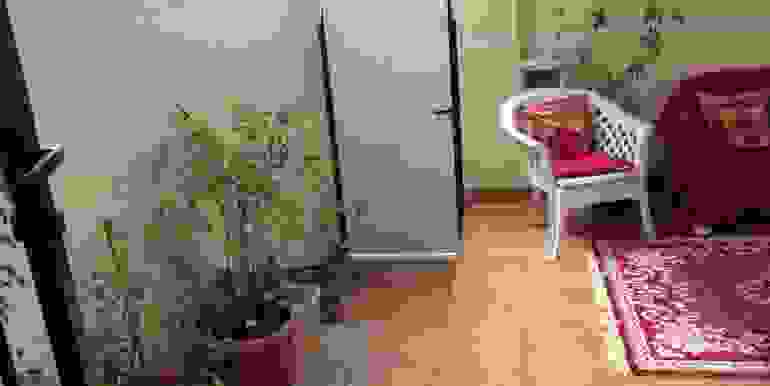image (15)