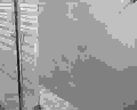 image6