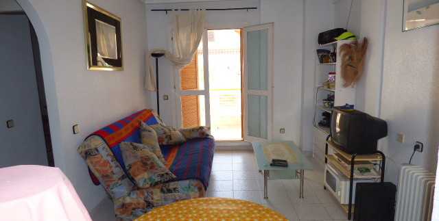 P1010066
