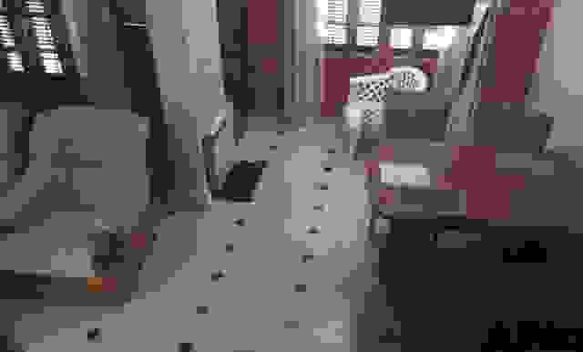 image8