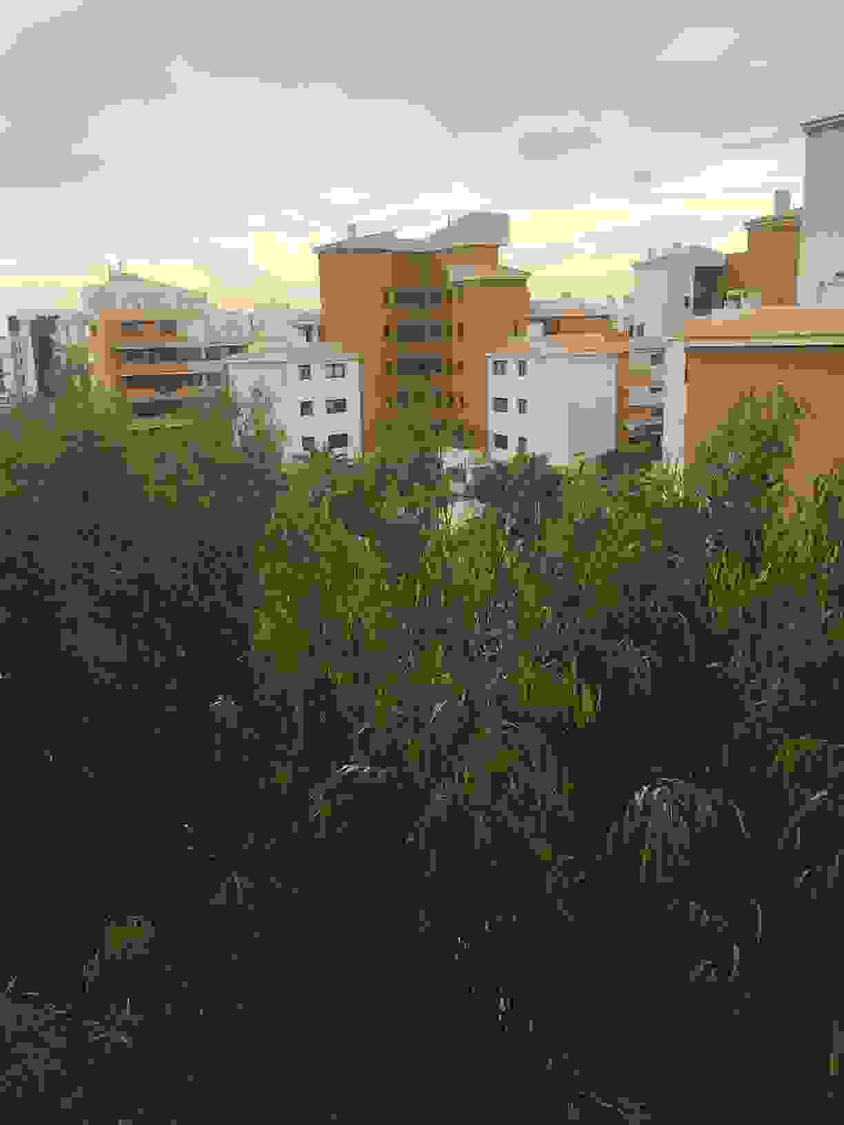 A comprehensive group of dwellings