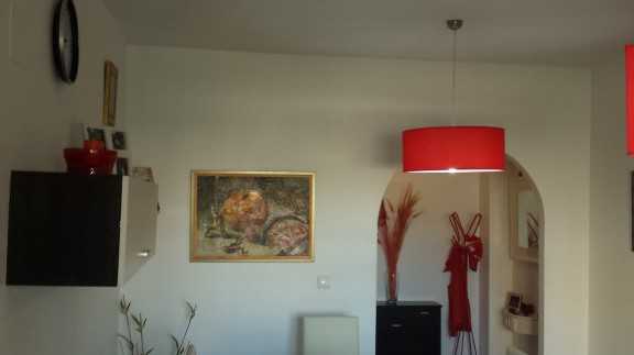 20151130_120106 (Medium)