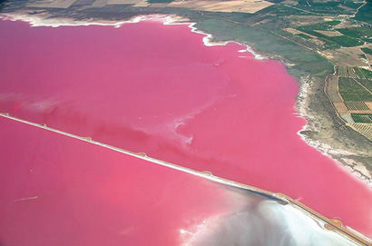 Ilustración del artículo: Laguna rosa de Torrevieja: normas y visitas